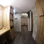 酒店 加尼烈茨讷酒店 3*