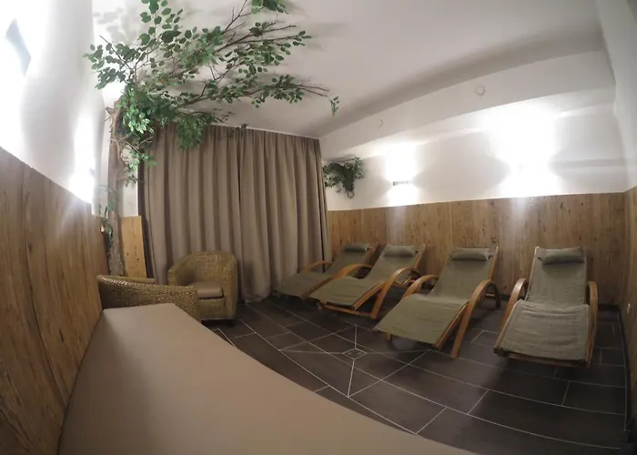 Hotel Garni Litzner 3*